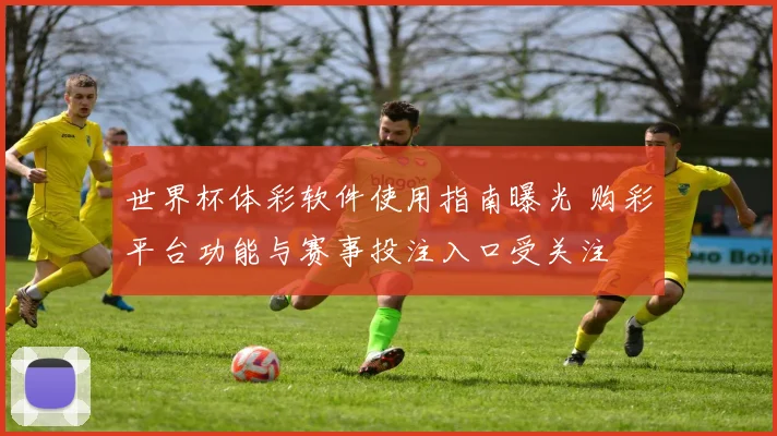 世界杯体彩软件使用指南曝光 购彩平台功能与赛事投注入口受关注