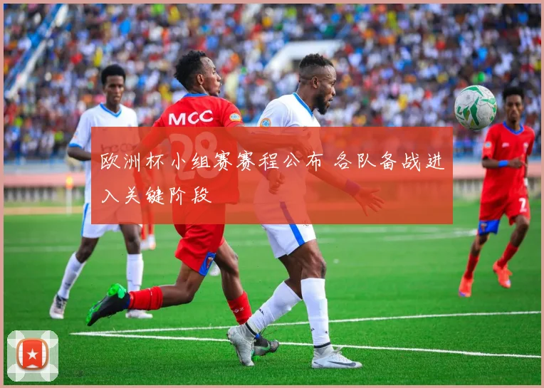 欧洲杯小组赛赛程公布 各队备战进入关键阶段