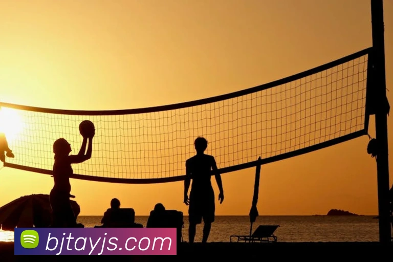 乐鱼官网app登录入口发展历程